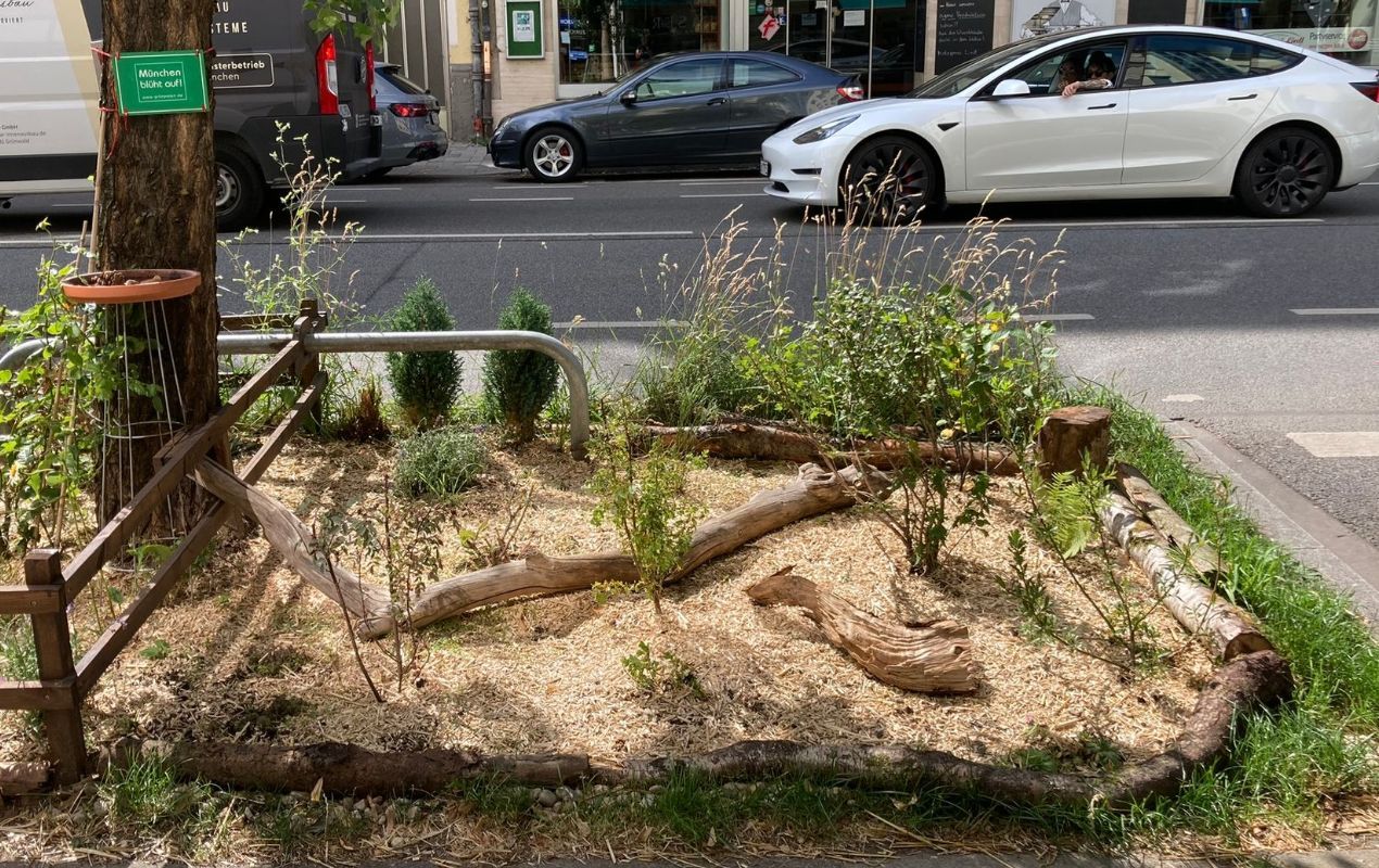 Mini-Tiny-Forest GrünPaten München nach Miyawaki