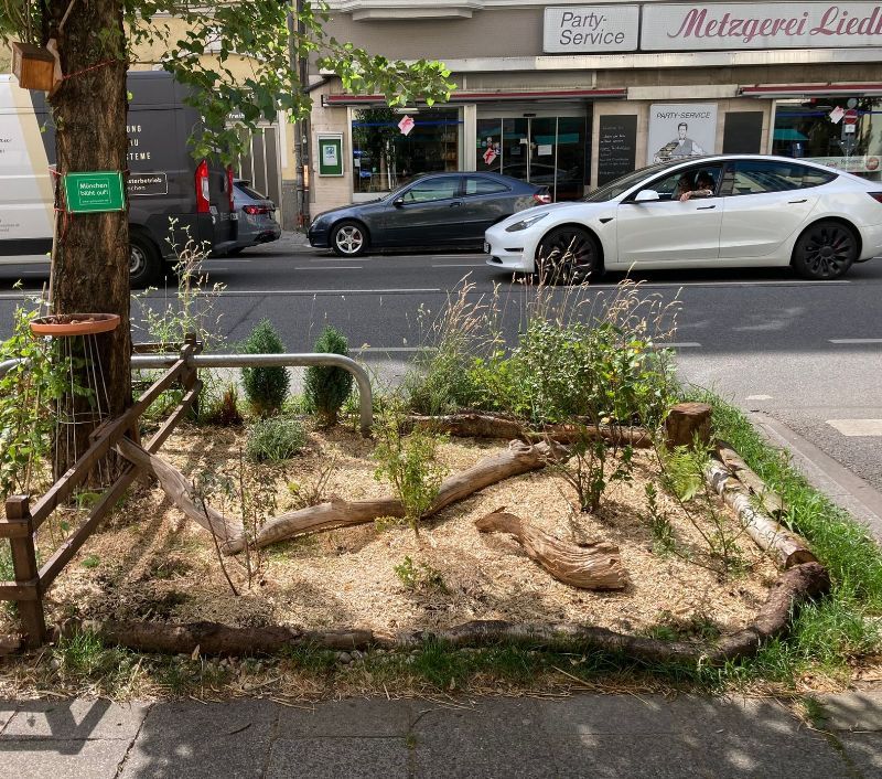 Tiny Forest München GrünPaten