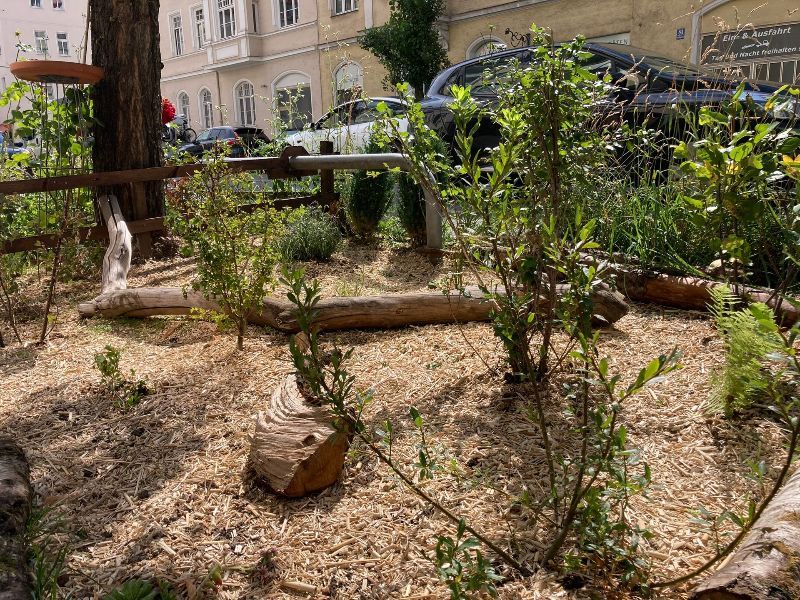 Miyawaki Methode GrünPaten-Beet München  Schwabing