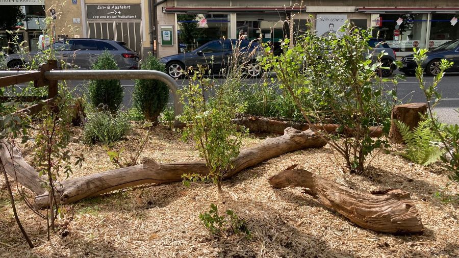 Miyawaki-Wäldchen München GrünPaten