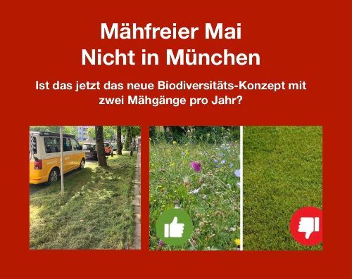 Mähfreier Mai München
