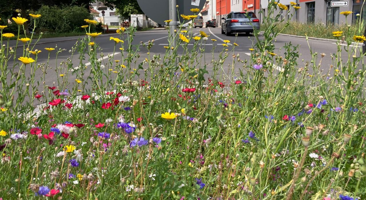 Biodiversität in München