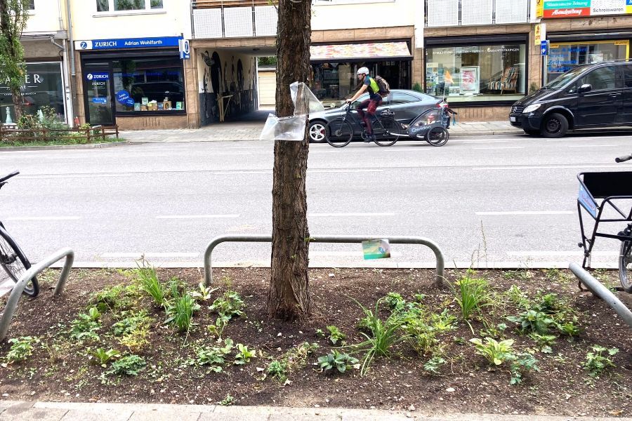 Green City Planzen ungeeignet