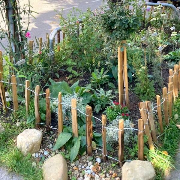 PflanzenPlan GrünPaten