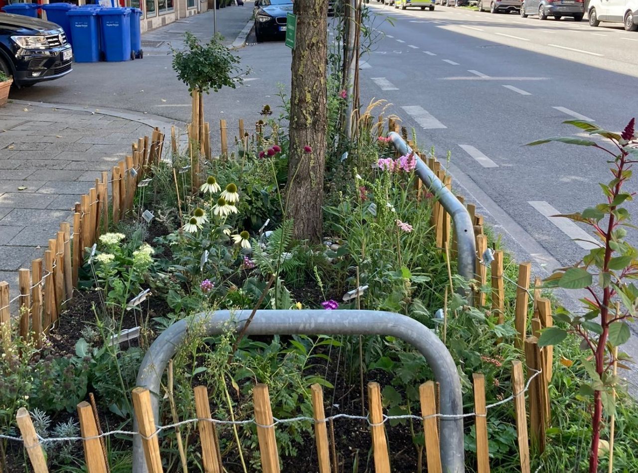 Neues Grün für Schwabing