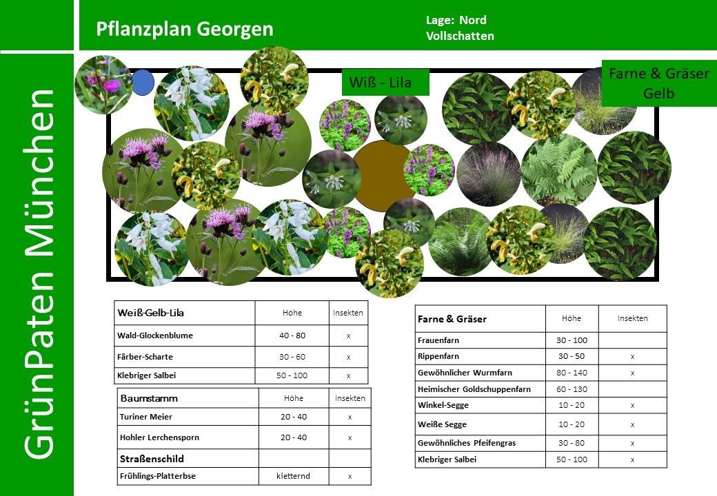 PflanzenPlan GrünPaten Schatten