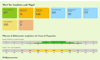 Hitzekünstler Beet GrünPaten Wert für Insekten