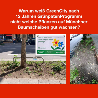 Warum weiß Green City nicht, welche Pflanzen auf Münchner Beete gut wachsen?