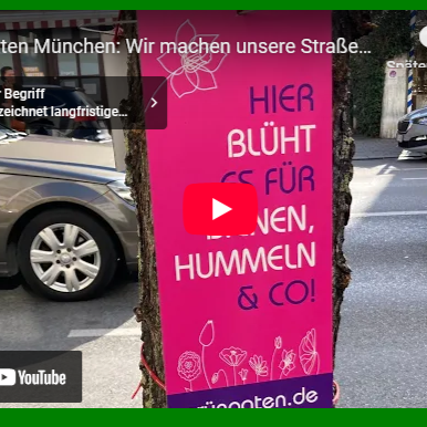Wie entsteht ein GrünPaten-Gärtchen