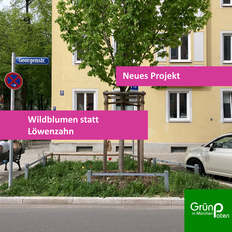 GrünPaten Projekt Schwabing München