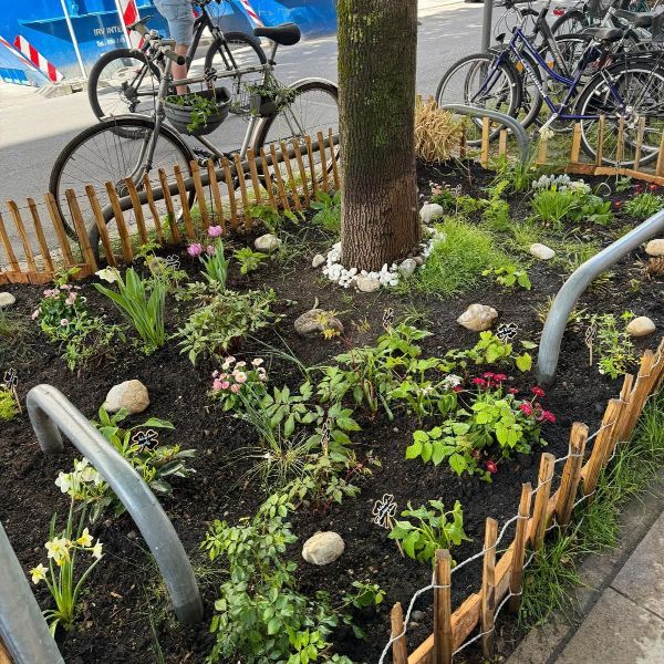 Grünpaten Beet Schatten Georgenstraße 91 Maxvorstadt
