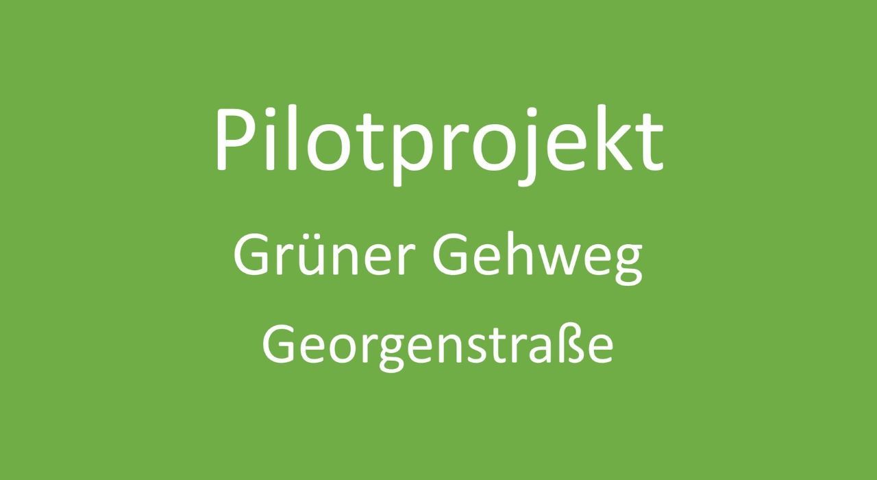 Pilotprojekt Grüner Gehweg Georgenstraße GrünPaten