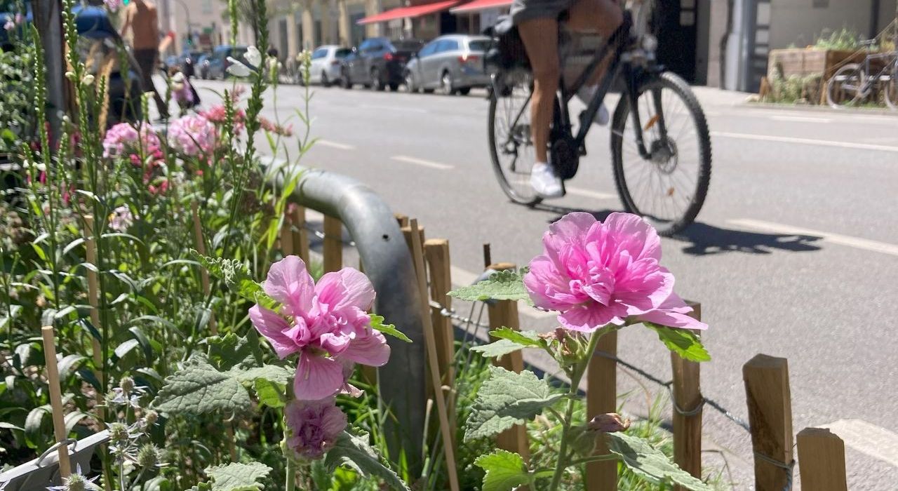 Beete bepflanzen: Macht mit den GrünPaten München grüner!