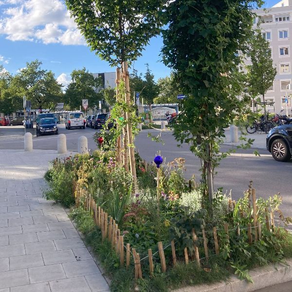 Grünpaten Beet Georgenstraße 123 München