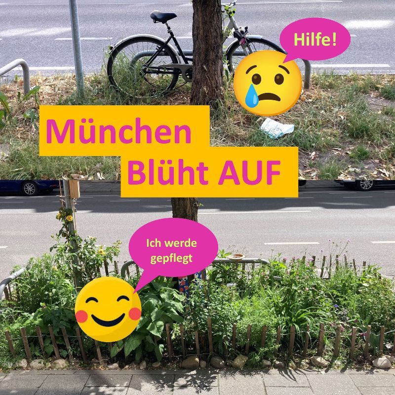 GrünPaten München