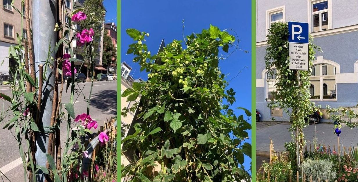GrünPaten Vertikal Begrünung