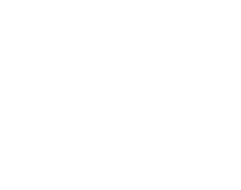 Alex Esposito AIA Architects logo