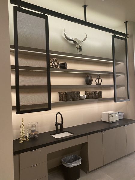 A Room with Shelves and A Skull on The Wall