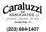 Caraluzzi And Associates LLC logo