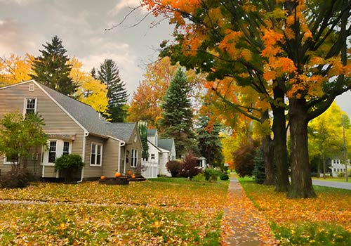 Village Street — Cornville, AZ — Badger Brothers Tree Service