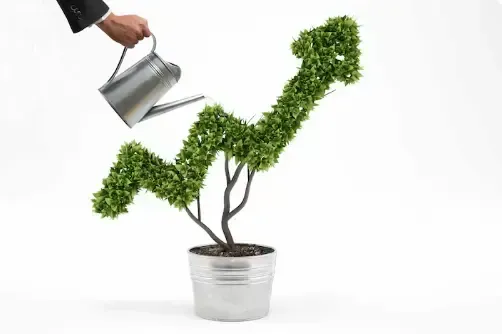 Watering a plant in the shape of a growth chart. An example of long-term growth with Florida Coast SEO.
