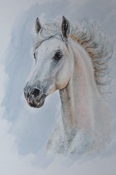 horse artwork, painting 