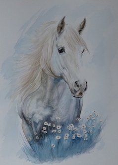 horse artwork, painting