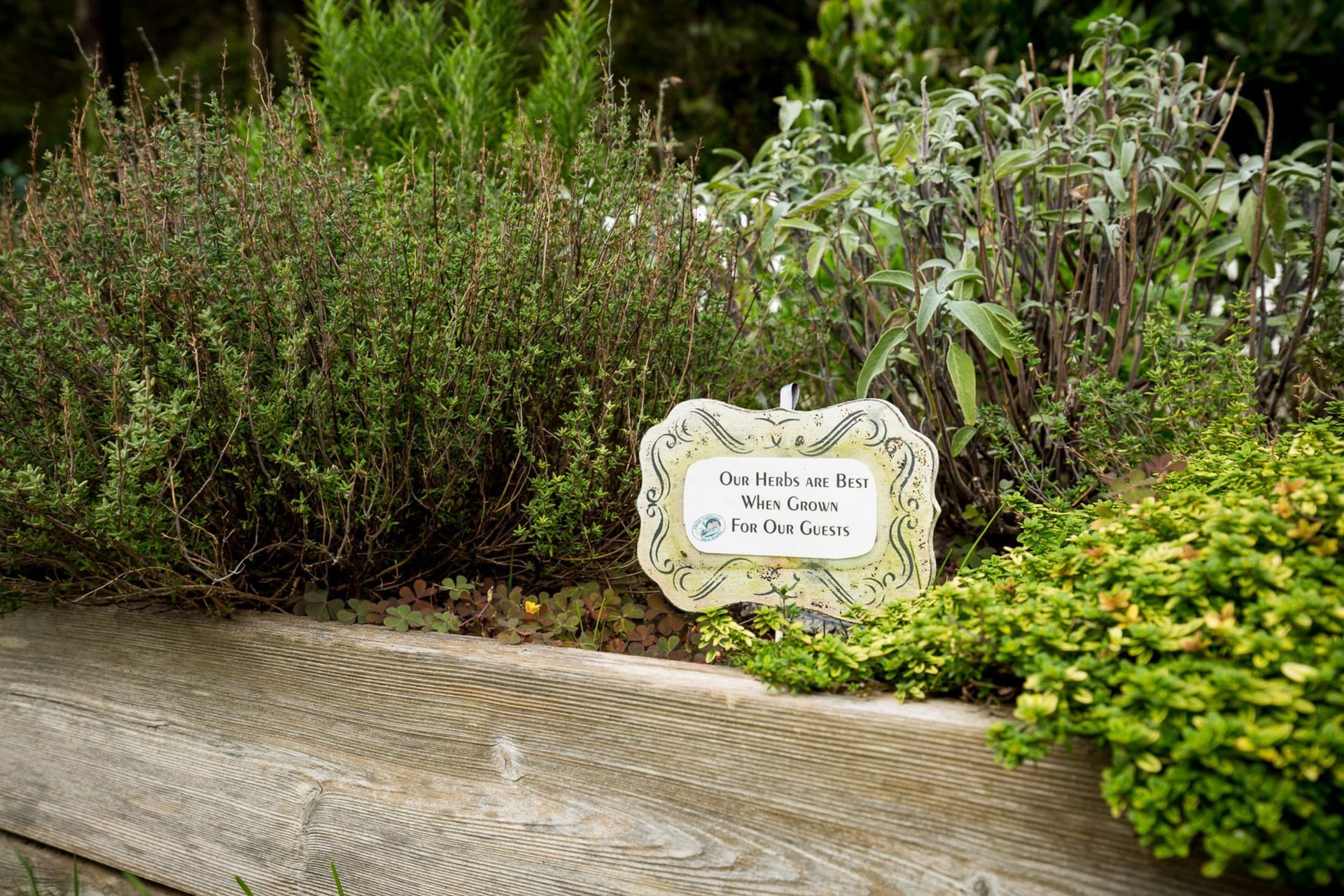 A wooden planter filled with herbs and a sign.