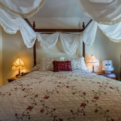 A bedroom with a canopy bed and two lamps.