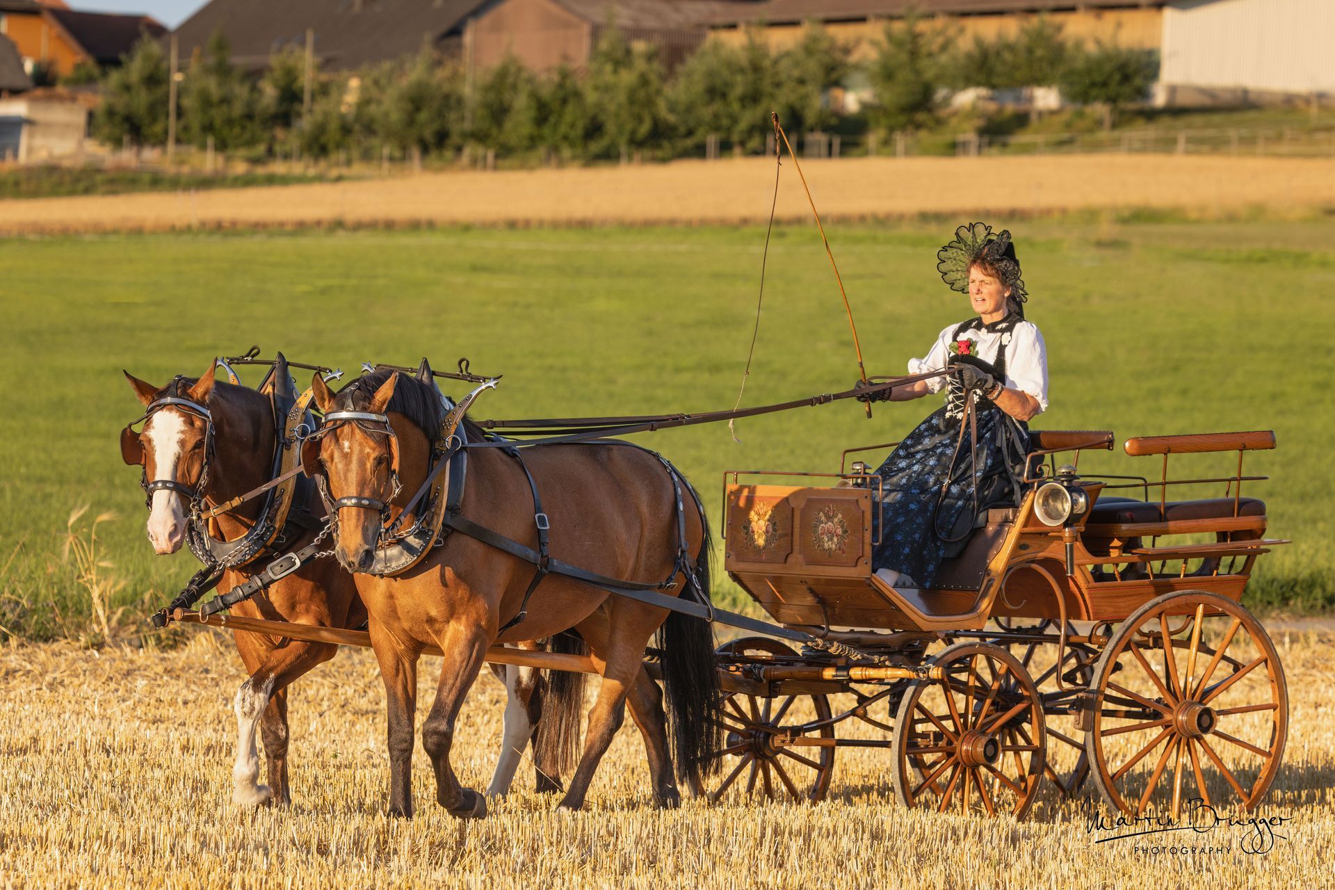 Eine Frau in Tracht lenkt eine Pferdekutsche durch ein Feld.