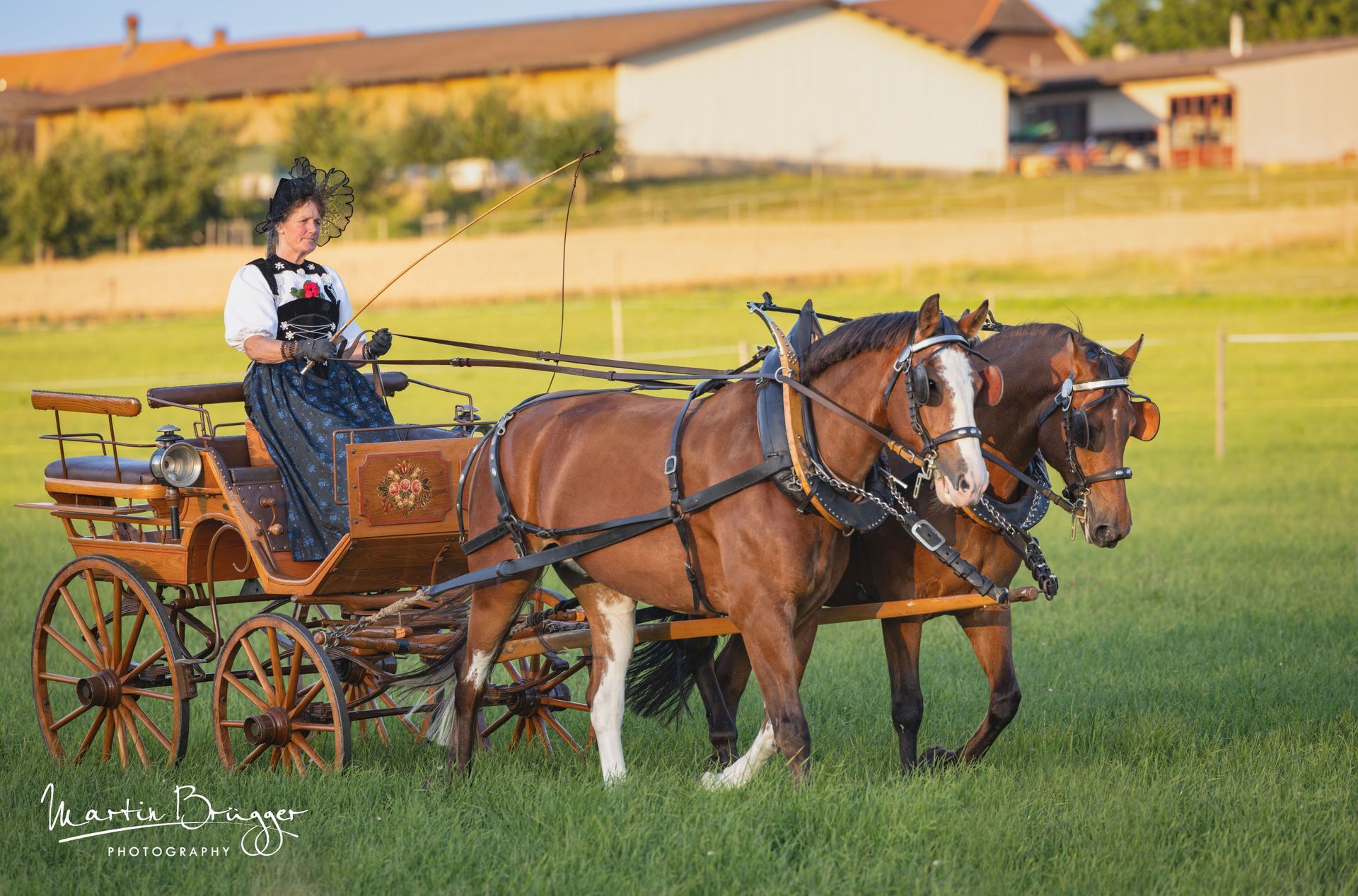 Eine Frau in traditioneller Tracht lenkt eine von Pferden gezogene Kutsche über Gras; die Pferde sind braun, die Kutsche aus Holz.