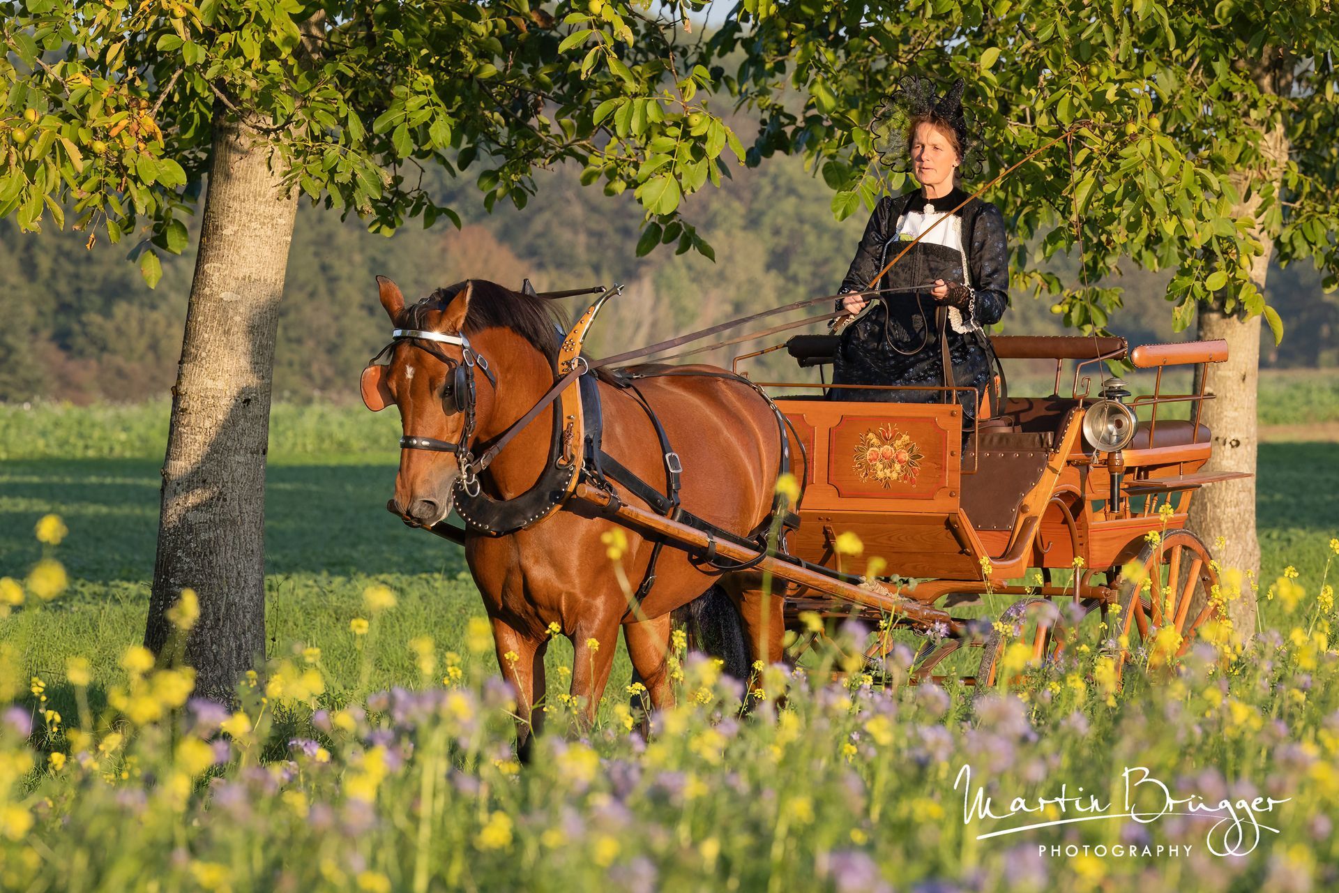 Eine Person lenkt ein braunes Pferd, das einen hölzernen Wagen zieht, durch ein Feld voller Wildblumen.