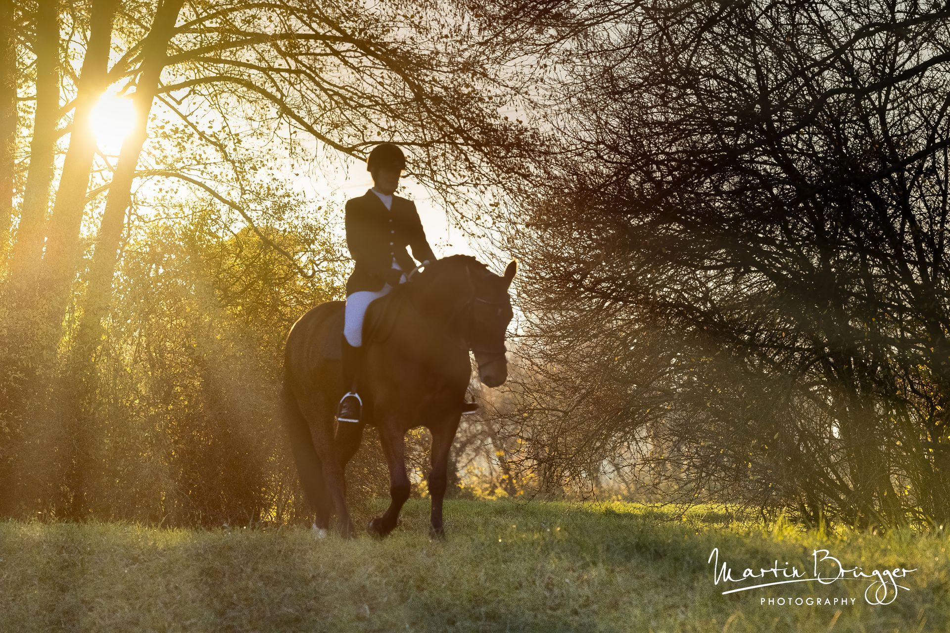 Ein Reiter, dessen Silhouette sich im Sonnenlicht abzeichnet, reitet durch ein grasbewachsenes Feld in der Nähe von Bäumen.