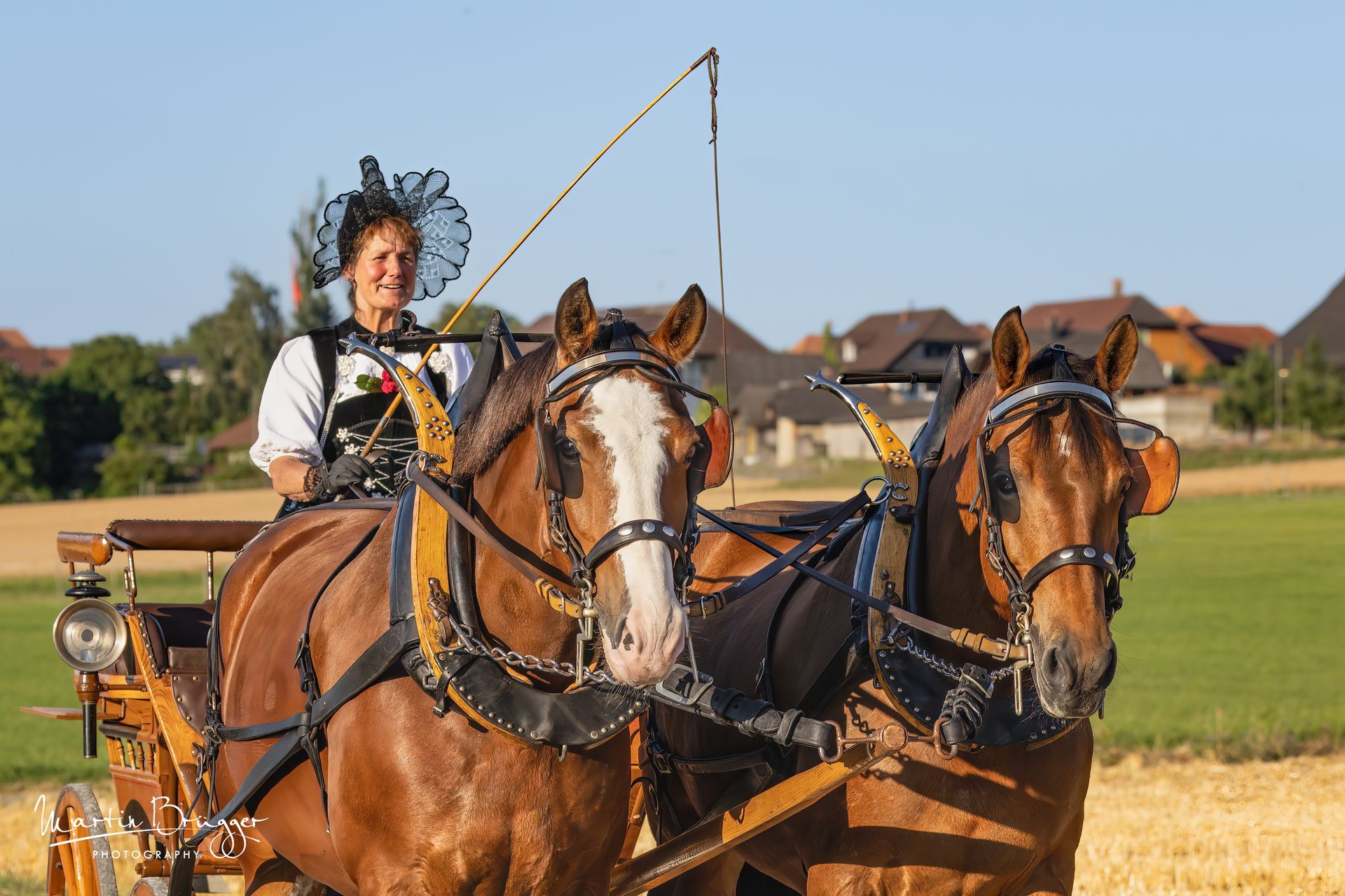 Eine Frau mit Hut lenkt eine Pferdekutsche durch ein Feld; die Pferde sind braun, die Kutsche ist gelb.