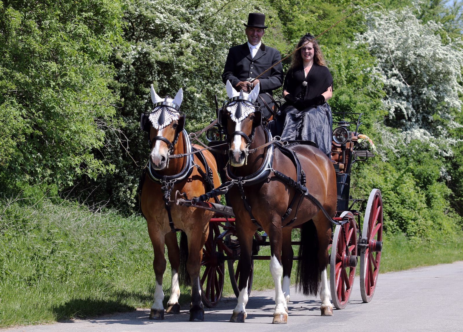 Zwei Pferde ziehen eine Kutsche mit zwei Personen auf einer Straße; im Hintergrund sind Bäume zu sehen.