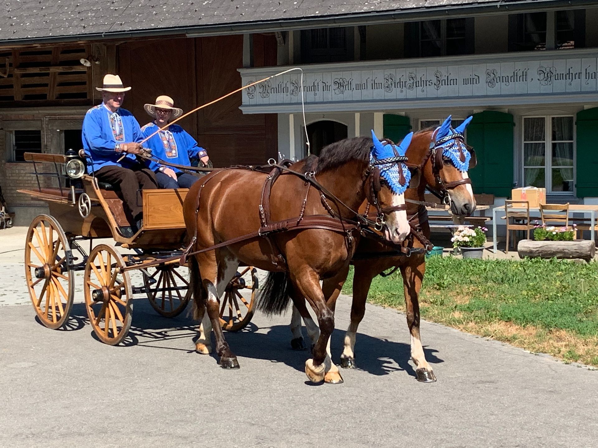 Zwei braune Pferde ziehen eine Kutsche mit zwei Personen in blauen Hemden vor einem Gebäude.