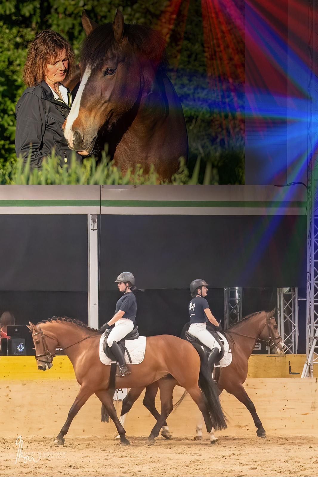 Zwei Reiter auf Pferden in einer Arena, ein Porträt einer Frau und eines Pferdes, überlagert von farbigen Lichtstrahlen.