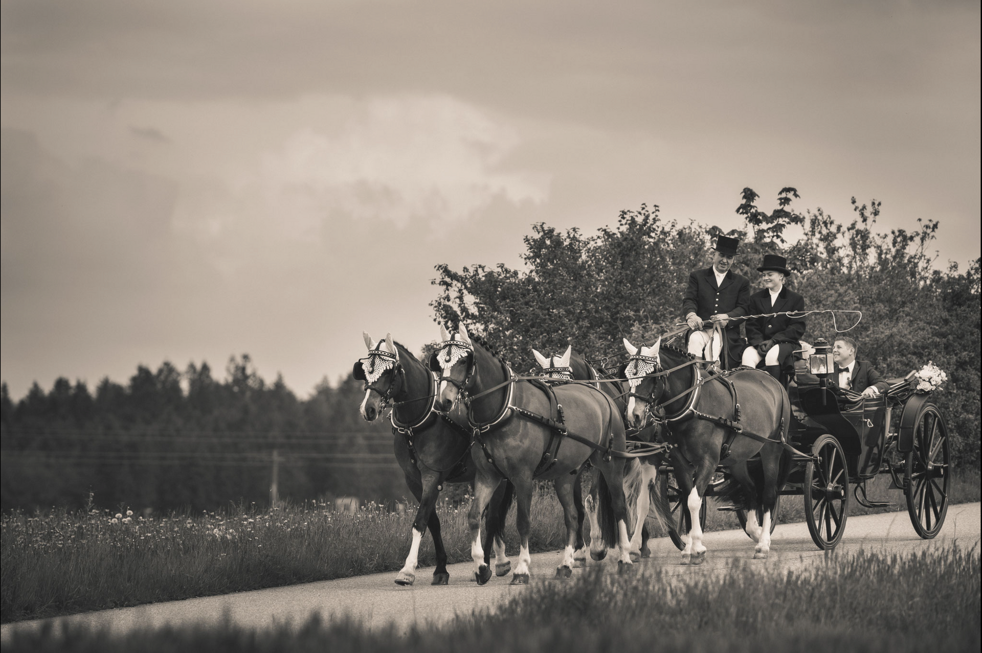 Eine Pferdekutsche befördert Passagiere auf einer Strasse vor dem Hintergrund eines dunklen Himmels.