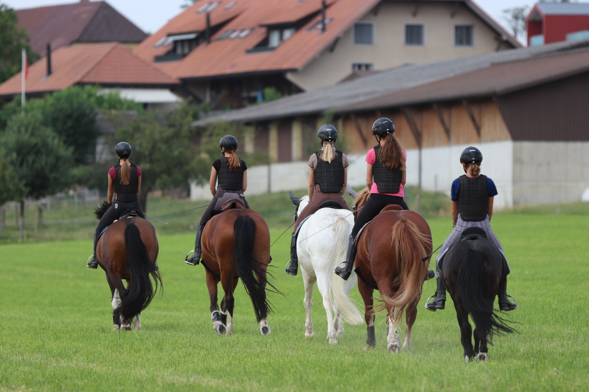 Fünf Personen reiten auf einem grasbewachsenen Feld. Im Hintergrund sind Gebäude und Bäume zu sehen.