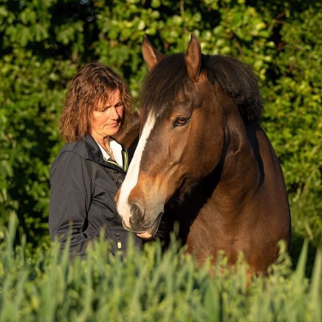 Eine Frau mit braunen Haaren steht neben einem braunen Pferd auf einer Weide. Das Pferd schaut nach vorn.