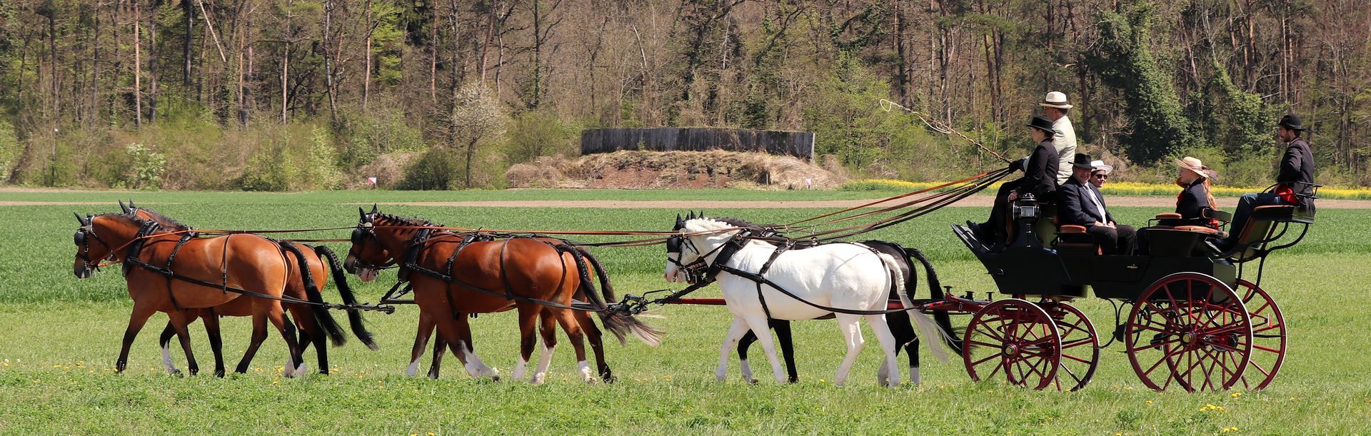Eine von Pferden gezogene Kutsche mit Personen darin wird über ein grasbewachsenes Feld gezogen.