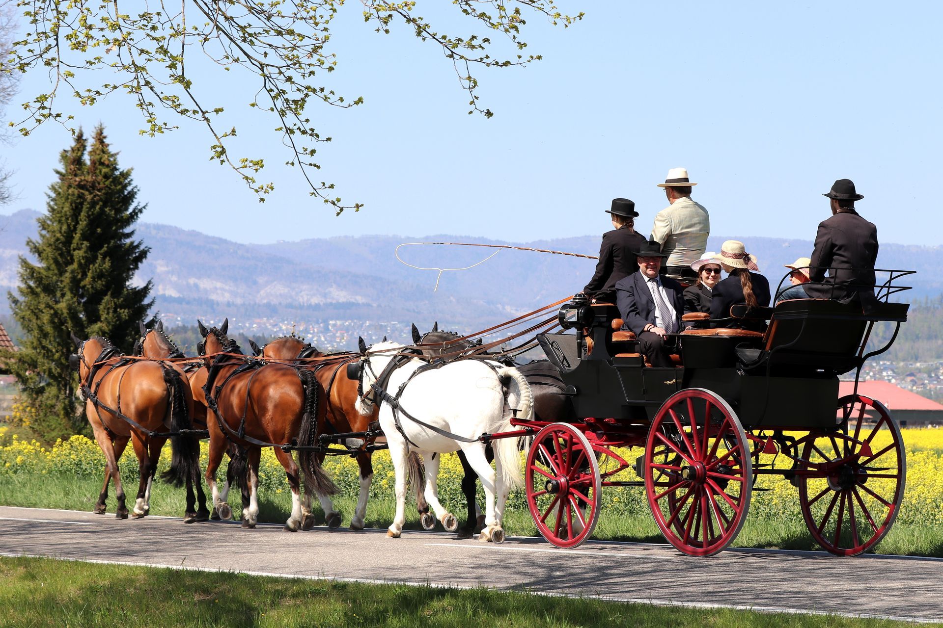 Eine von fünf Pferden gezogene Pferdekutsche befördert Passagiere eine Straße entlang.