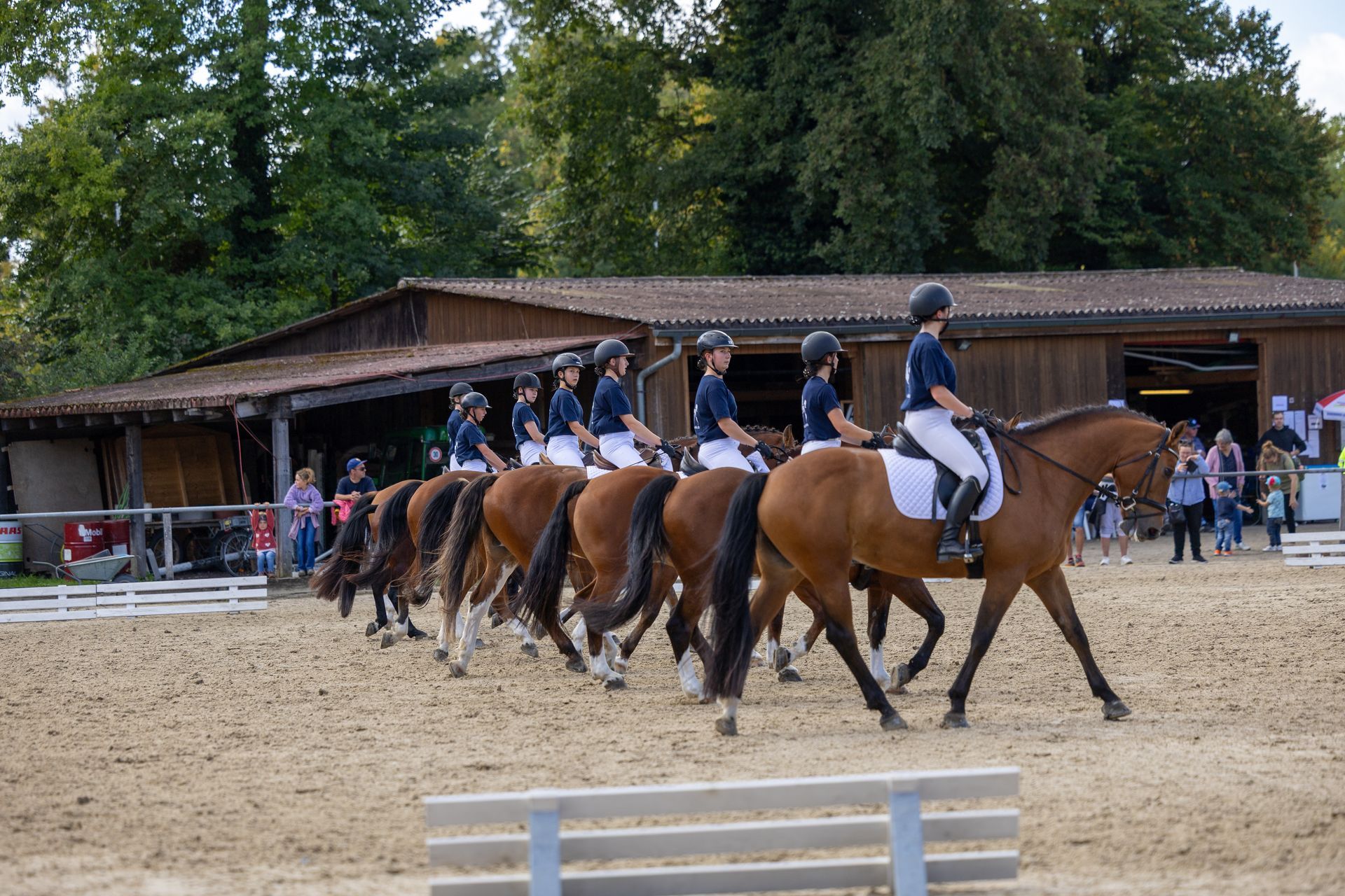 Eine Gruppe Reiter auf braunen Pferden in einer Reithalle im Freien, aufgereiht in der Nähe eines Holzgebäudes.