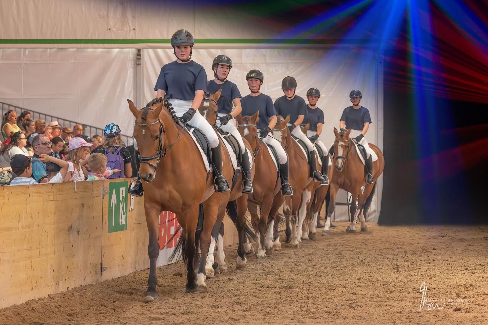 Eine Gruppe Reiter auf braunen Pferden steht in einer Reithalle in Reih und Glied. Zuschauer beobachten sie.