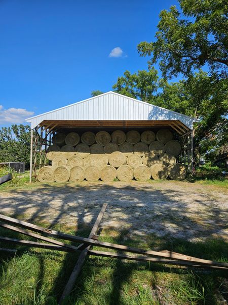Hay bales stacked under a metal roof shed, set against a bright blue sky and trees.