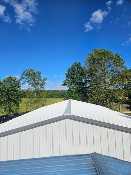 White metal roof, green trees, and blue sky with clouds.