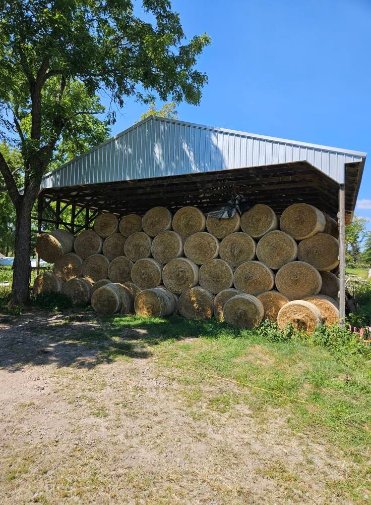 Round hay bales stacked under a metal roofed shelter on a sunny day.