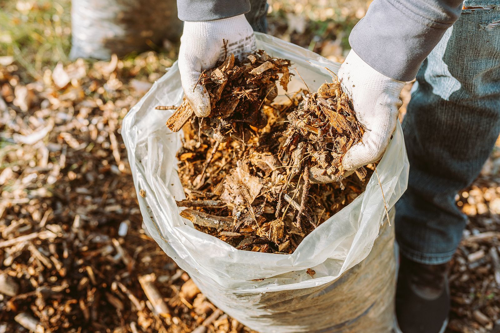 A person is holding a bag of wood chips in their hands.