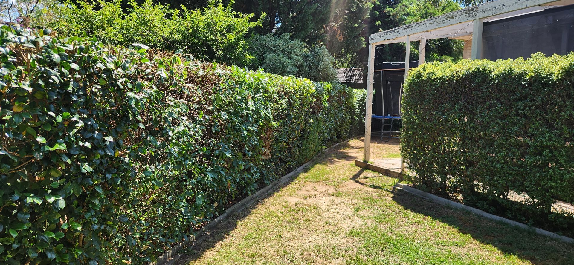 A Green Hedge in A Yard, Bordered by Wooden Edging — Carro's Property Maintenance in Kaleen, ACT