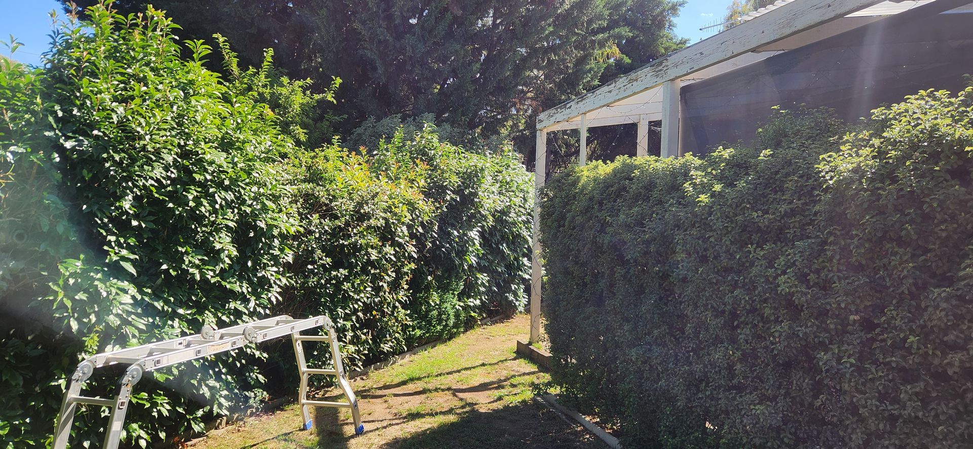 A White Ladder Stands in A Green Yard — Carro's Property Maintenance in Kaleen, ACT